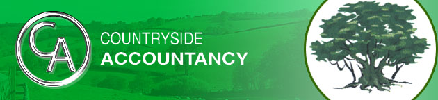 Cornwall Accountancy Captial Gains PAYE VAT Money Management 