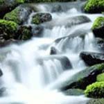 Cornwall psychotherapy Counsellors Psychotherapists Group Analysts Nurses