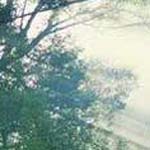 Cornwall psychotherapy Counsellors Psychotherapists Group Analysts Nurses