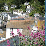 Storage Company Cornwall