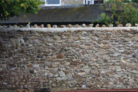 Cob Repair Devon