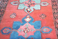 Devon Carpet Care