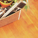 Devon Carpets and Pine