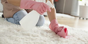 Cleaning Services Devon
