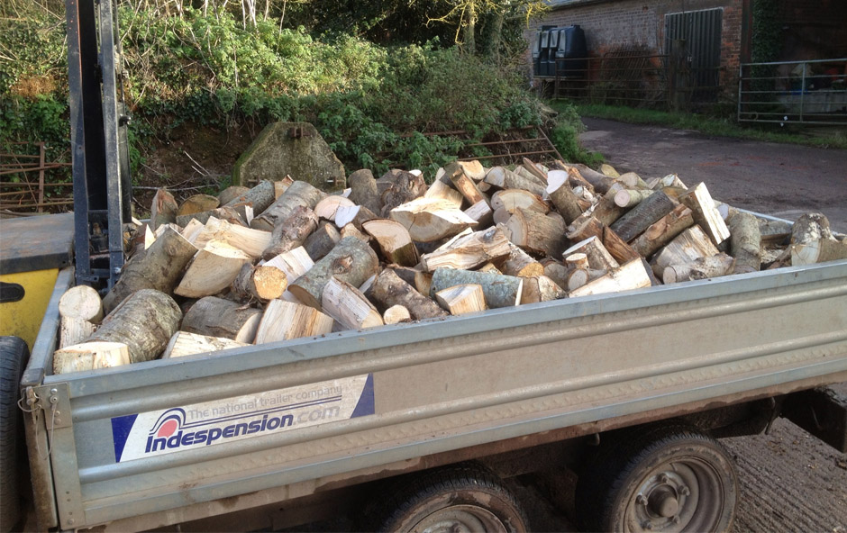 Firewood Devon