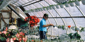Garden Centres Devon