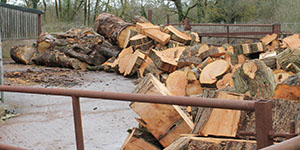 Landscape Design Devon