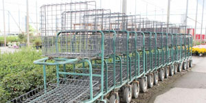 Garden Nursery Devon