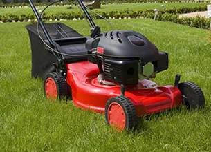 Garden Maintenance Devon