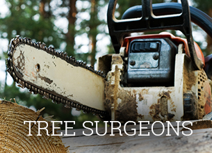 Tree Surgeons Devon