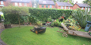 Turfing Devon