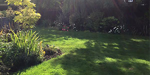 Turfing Devon