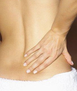 Devon Cornwall Therapy Bowen Technique Holistic Treatment Equine Canine Touch 