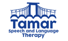 Speech Therapy Plymouth