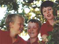 Devon Private Schools 