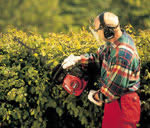 Somerset Tool Hire