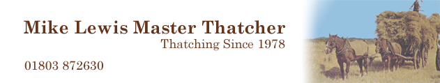 Devon Master Thatcher