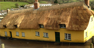 Devon Master Thatcher