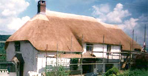 Master Thatchers Devon