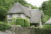 Thatchers Devon Thatcher Master Thatcher