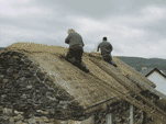 Thatchers Devon Thatcher Master Thatcher