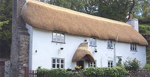 Devon Master Thatchers