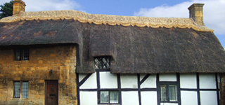 Thatchers Devon