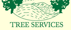 Devon Tree Surgeon Exeter
