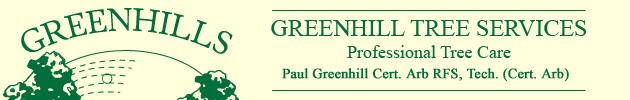 Devon Tree Surgeon Tavistock