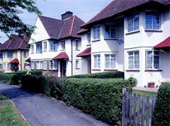Steel Framed Windows