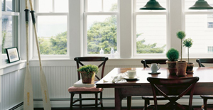 Windows Devon