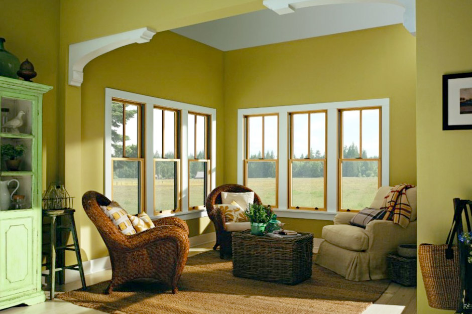 Sash Windows Devon