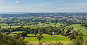Behavioural Therapy Devon