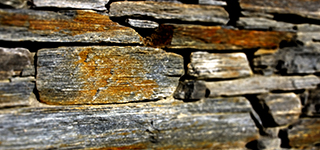 Specialist Surveyor Devon