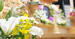 Will Services Devon