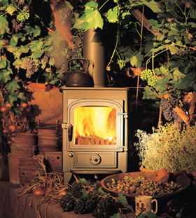 Dawlish Stove Supplier