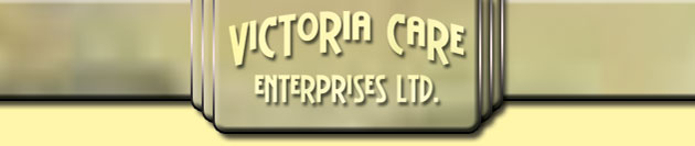 Somerset Home Care Ironing Home Help Cleaning Elderly Aid Help Asssistance Shopping 