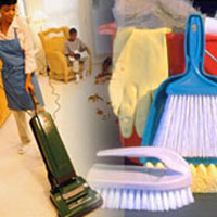 Somerset Cleaner
