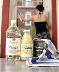 Bridgwater Cleaners Somerset