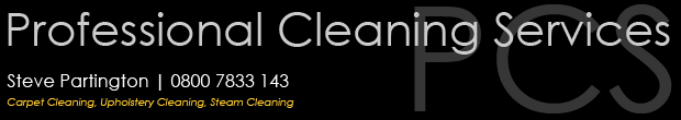 Somerset Carpet cleaning upholstery, carpets Somerset