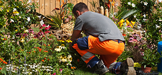 Landscape Design Somerset