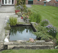 Taunton Landscape Designer