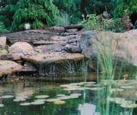 Landscape Design Taunton