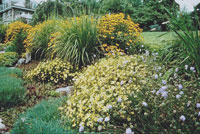 Taunton Landscape Design