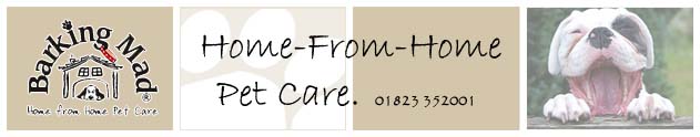 Dog Kennels Somerset