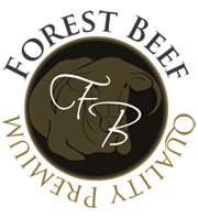 longhorn beef for sale