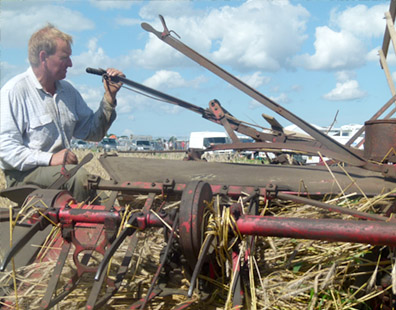 Thatcher Somerset