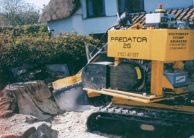 Stump Grinding Somerset