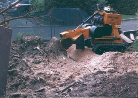 Somerset Stump Grinders