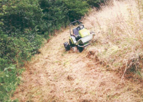 Tree Stump Grinding Somerset